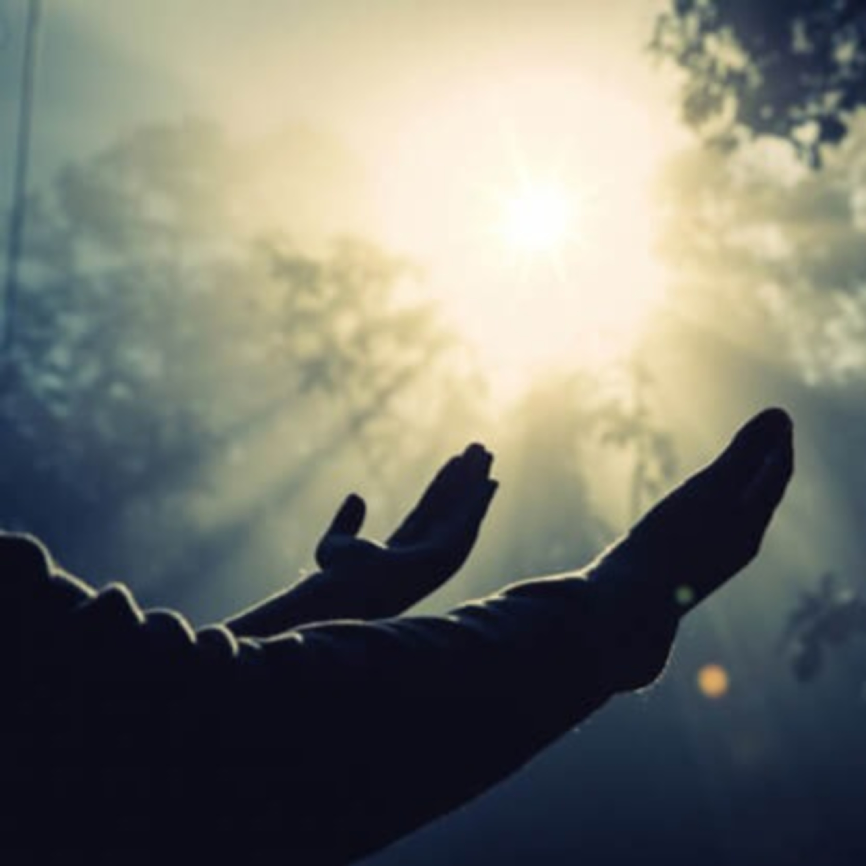 چالش شکرگزاری ۲۸ روزه با آهنگهای انگیزشی و انرژی مثبت 