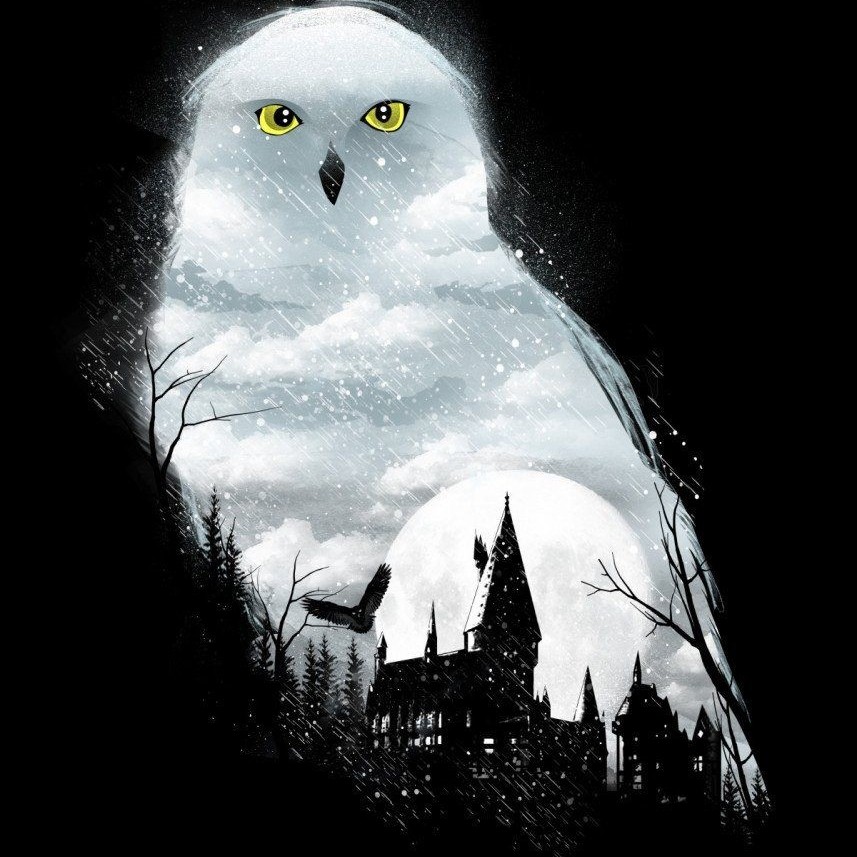 کتاب صوتی هری پاتر و محفل ققنوس 