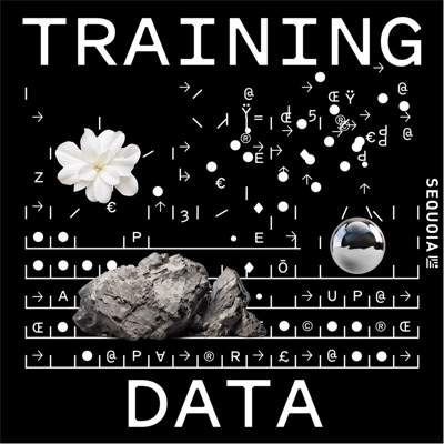 Training Data 