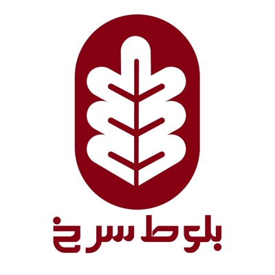 پادکست بلوط سرخ 