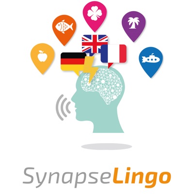 SynapseLingo Learn Turkish 
