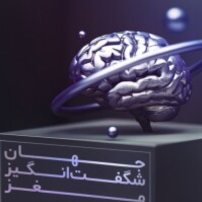 جهان شگفت انگیز مغز 