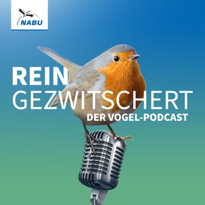REINGEZWITSCHERT – der Vogel-Podcast 