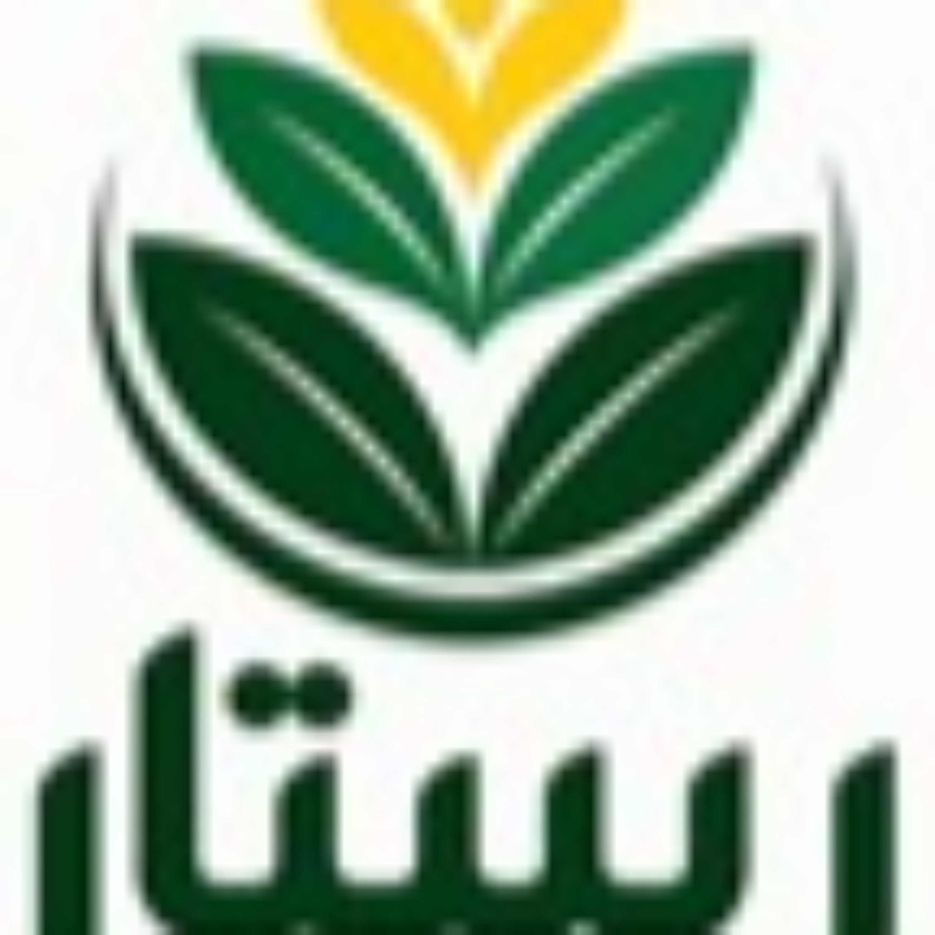 (تیم رستار)تفکر سیستمی 