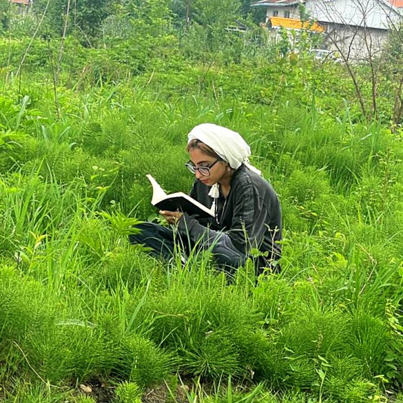 کانال Zardine🌞 