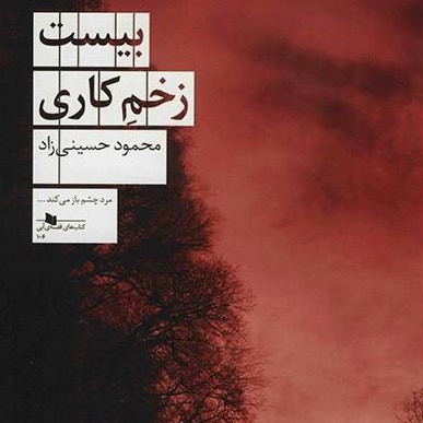 بیست زخم کاری (محمود حسینیزاد) 