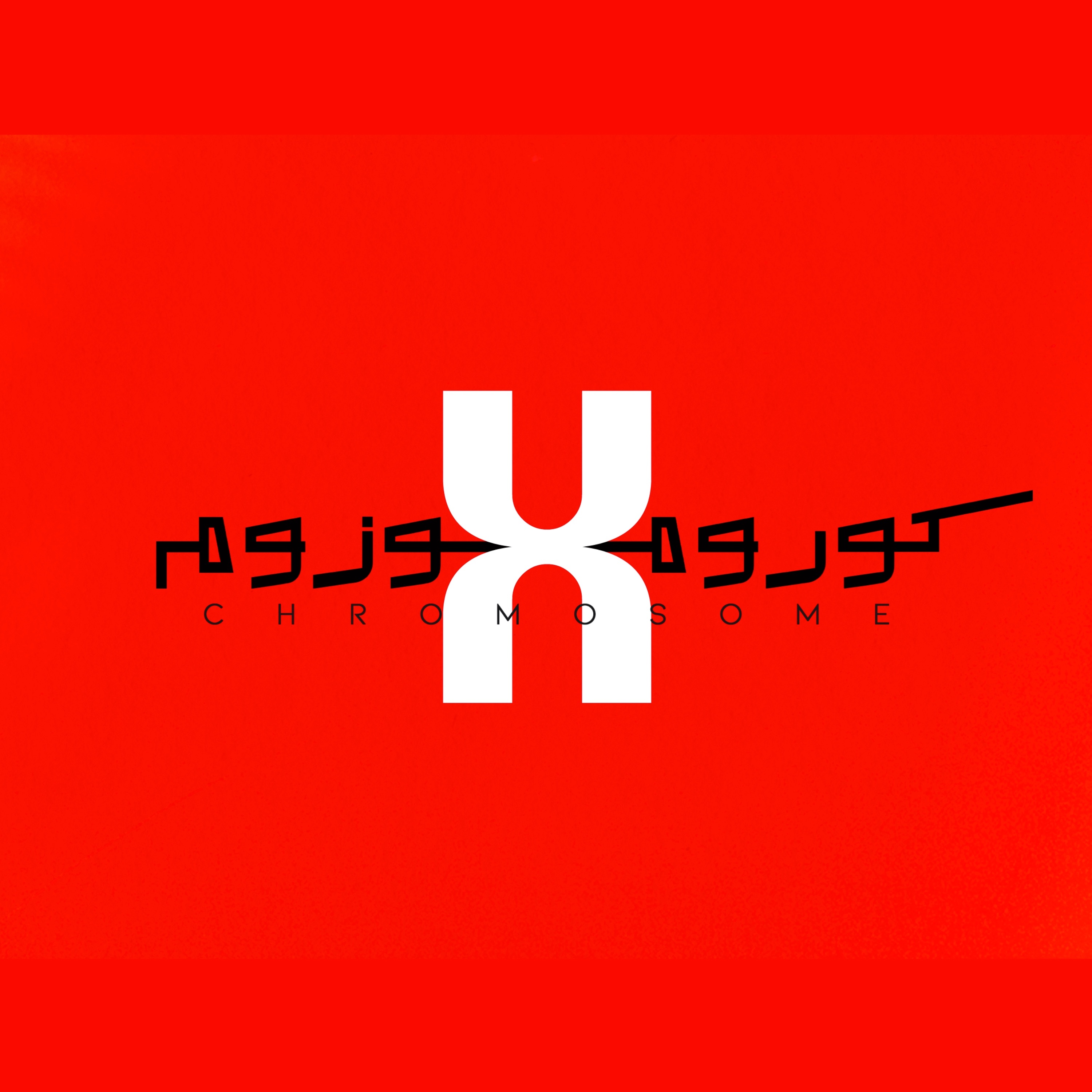 کروموزوم ایکس 