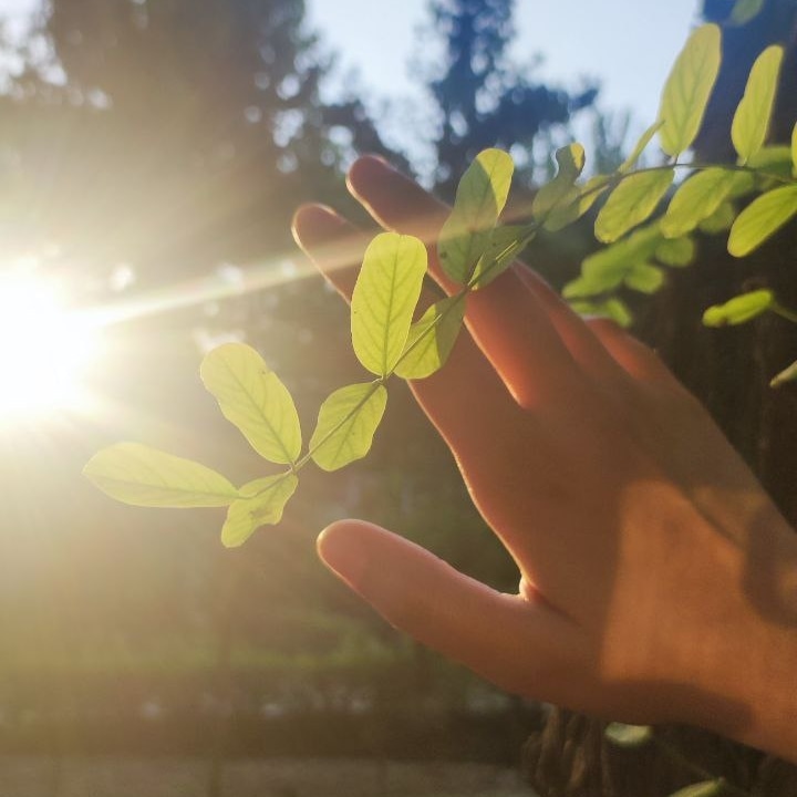 پلی لیستِ هیرو | Hero 