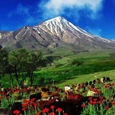 صدای طبیعت و موسیقی بی کلام 