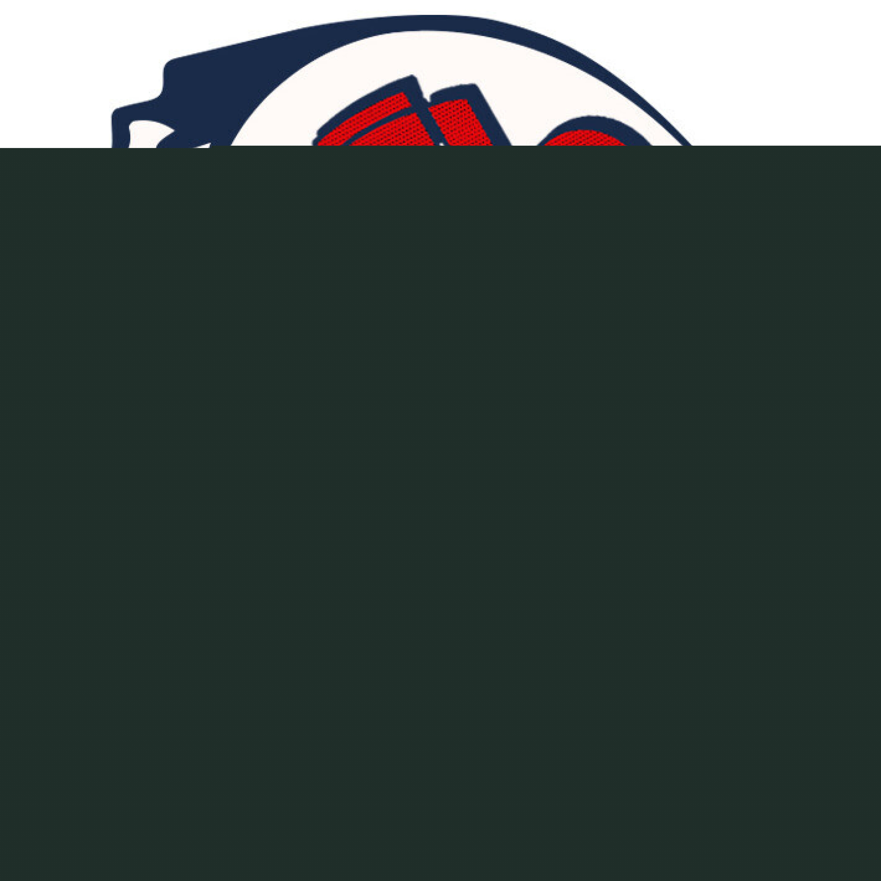 هاگیرواگیر 